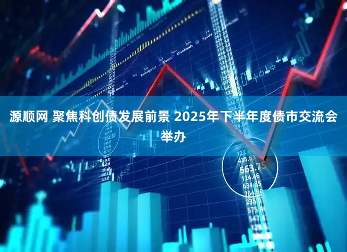源顺网 聚焦科创债发展前景 2025年下半年度债市交流会举办