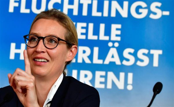 民银证券 选择党崛起：当“极右翼防火墙”失效，德国的警醒或为时已晚