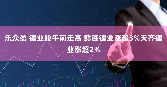 乐众盈 锂业股午前走高 赣锋锂业涨超3%天齐锂业涨超2%
